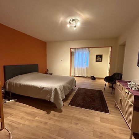 Bel Appartement En Rdc Proche Strasbourg Nice Apartment Very Near Strasbourg Exteriör bild