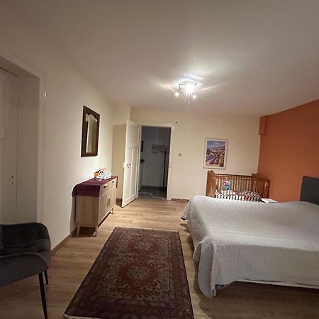 Bel Appartement En Rdc Proche Strasbourg Nice Apartment Very Near Strasbourg Exteriör bild
