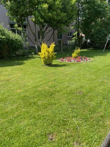 Bel Appartement En Rdc Proche Strasbourg Nice Apartment Very Near Strasbourg Exteriör bild